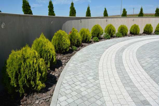 Reasons to Select Us for Your Driveway Paving Requirements in Mount Oliver, PA